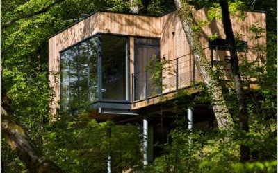 Comment passer des Vacances en « BOIS »