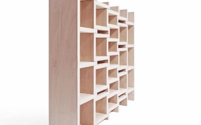 Une bibliothèque qui grandit avec vos enfants